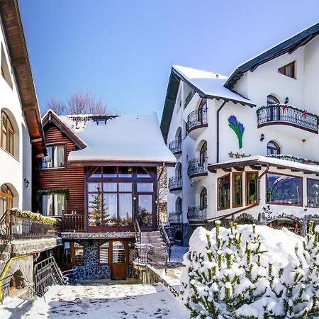 Pensiunea Crocus - Sauna & Billiard Poiana Brasov Exterior photo