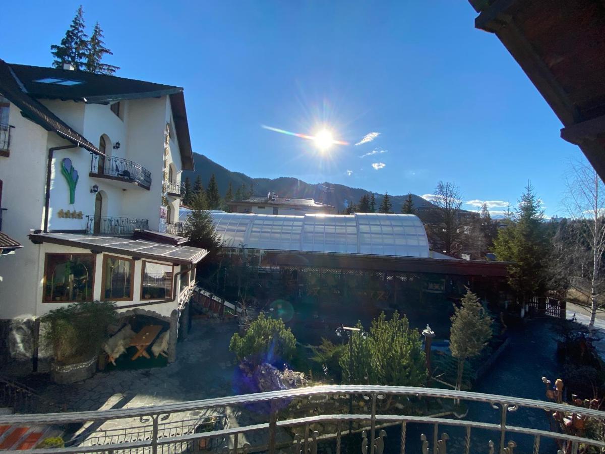 Pensiunea Crocus - Sauna & Billiard Poiana Brasov Exterior photo