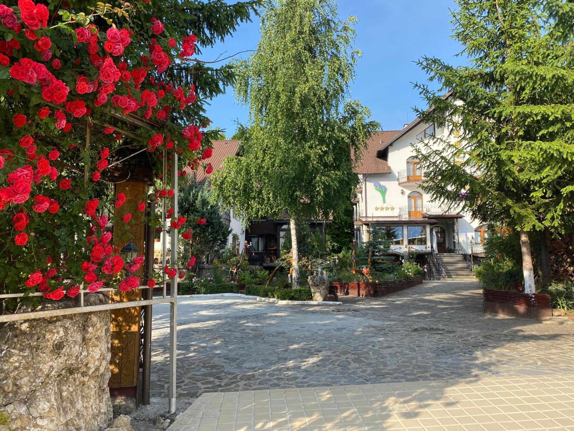 Pensiunea Crocus - Sauna & Billiard Poiana Brasov Exterior photo