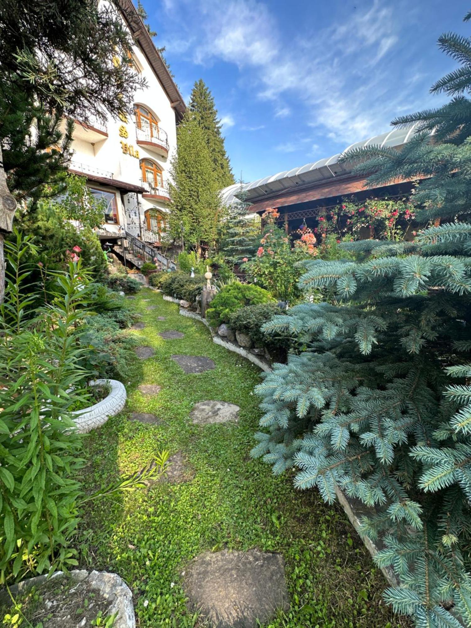 Pensiunea Crocus - Sauna & Billiard Poiana Brasov Exterior photo