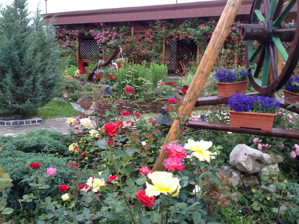 Pensiunea Crocus - Sauna & Billiard Poiana Brasov Exterior photo